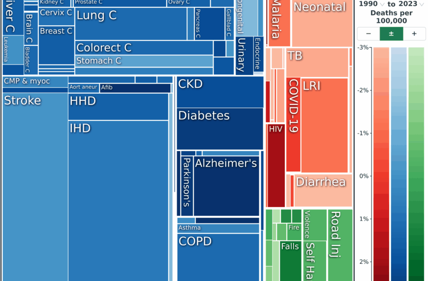 نقشه جدید سلامت جهان: یافته‌های کلیدی مطالعه بار…